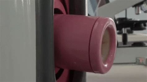 fleshlight gif